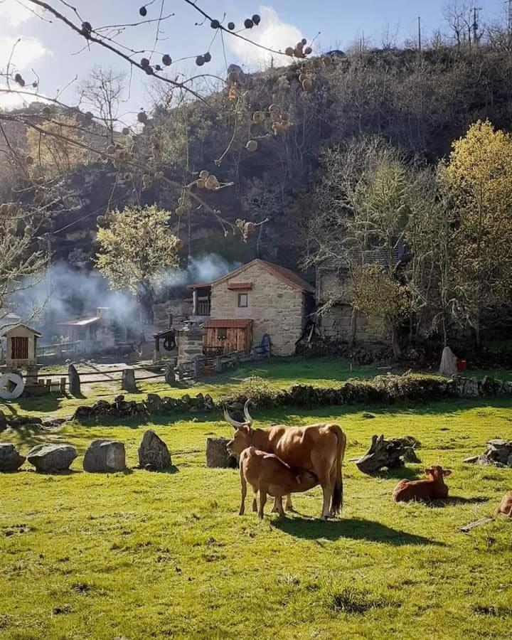 Aldeia De Pontes - Castro Laboreiro Exterior foto